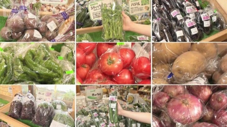 新鮮な野菜が並ぶ