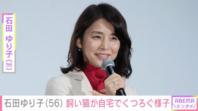 石田ゆり子（56）、飼い猫がくつろぐ生活感あふれる自宅に反響「ステキな空間だね」「フワフワの毛布の中が気持ちいいよね」