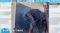 かつての名競走馬が「あーたまんねぇぜ」かゆい所に手が届いた瞬間の“恍惚な表情”にほっこり