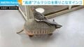 “高速”アルマジロを乗りこなすインコ “珍しいコラボ”に飼育員が絶賛「予想以上のほっこりシーンが撮れた！」