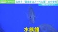 校舎に水族館？ 「ノーベル賞」を目指す小学校の教育方針「人に尽くす力を備えた本当のリーダーになって」