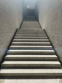 市川團十郎白猿『私のコロナ対策は』