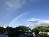 つんく♂『51歳のバースデー』