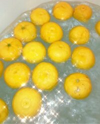 愛川ゆず季『今夜は有吉反省会』