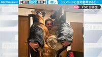 大型犬との在宅勤務 飼い主を襲った嬉しい誤算に「猫とはサイズが違うw」