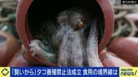 【映像】日本でも料理に使われるタコ