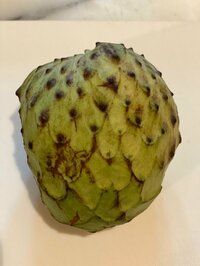 花田虎上『熟れた』