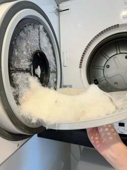  川崎希、再びやらかした夫・アレクにブチ切れたことを明かす「バレンシアガのTシャツも乾燥機かけたり」 