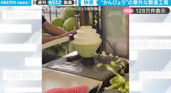 この巨大な丸い実は一体、何？剥いて乾燥させると…巻き寿司の具などに使われる「かんぴょう」の正体に驚愕の声！製造工程を映した動画に反響