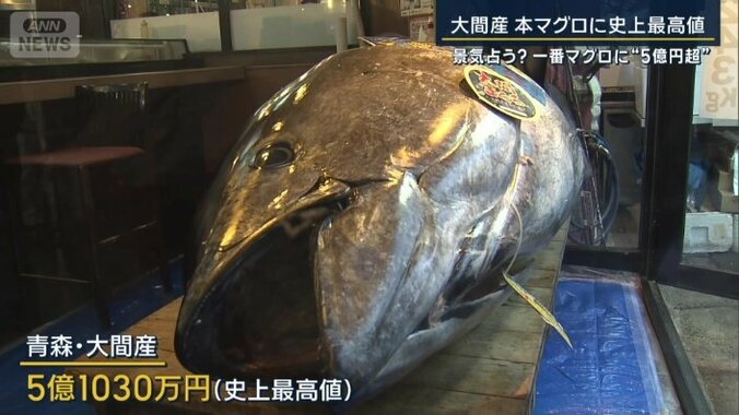 マグロの初競り