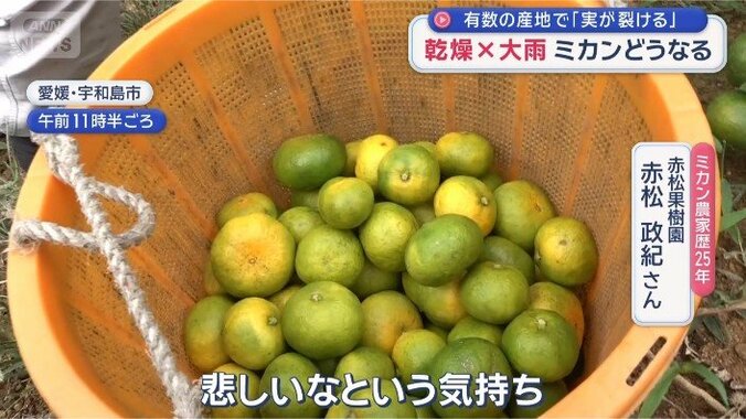 「悲しいなという気持ち」