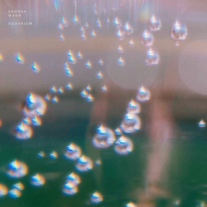 【写真・画像】　2枚目