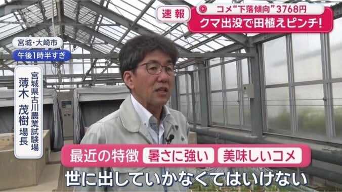 宮城県古川農業試験場　薄木茂樹場長