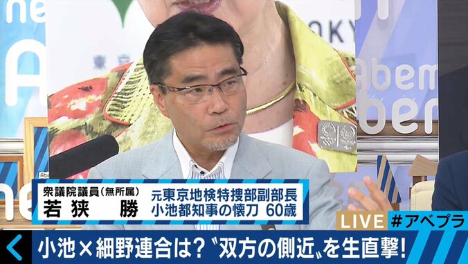 「民進党を見限って出ようという人は資質がある」小池都知事の“側近”若狭氏が細野氏の離党を歓迎 6枚目