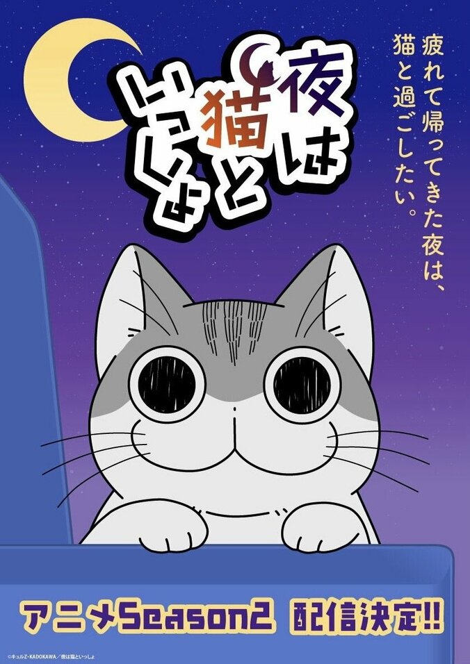 アニメ「夜は猫といっしょ」ビジュアル