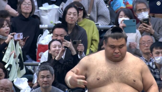 相撲観戦するモモコ