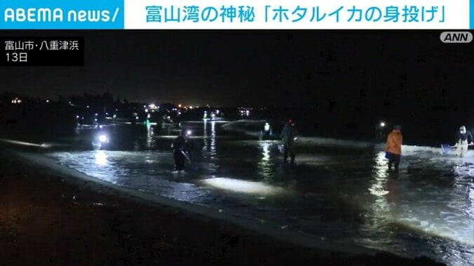 富山市・八重津浜