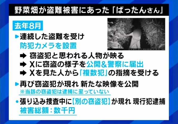 野菜泥棒の被害