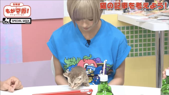 最上もが、ネコに夢中になりすぎて生放送が放送事故レベル 3枚目