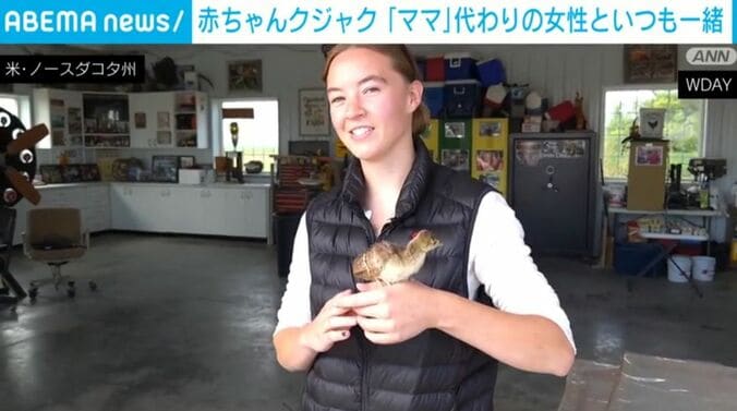 女性とクジャクのヒナ