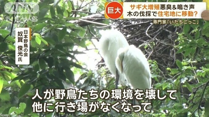 「鳥用の場所を」