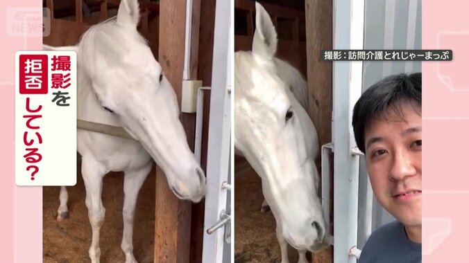 撮影拒否してる？