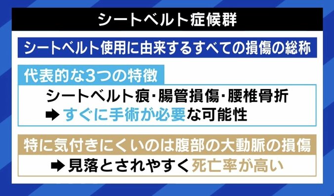 【写真・画像】「“検挙されないため”という間違った目的の方もいる」 シートベルトは絶対安全ではない？ 着用の子ども死亡…改めて確認したい“正しい着け方”　6枚目