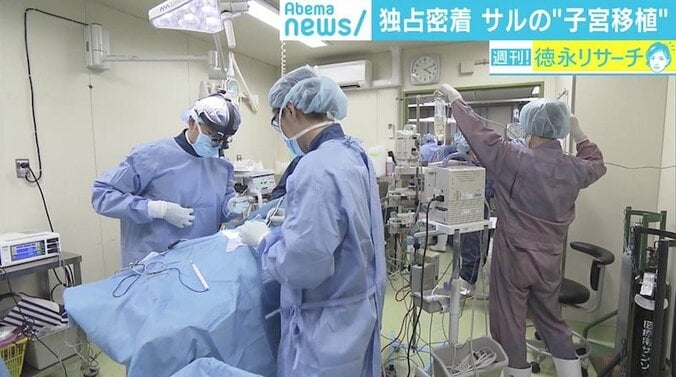 “子宮移植後”のサルで初の妊娠に成功、最新医療から見えた不妊治療の可能性と課題 4枚目