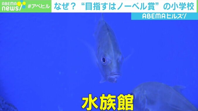 校舎に水族館？ 「ノーベル賞」を目指す小学校の教育方針「人に尽くす力を備えた本当のリーダーになって」 3枚目