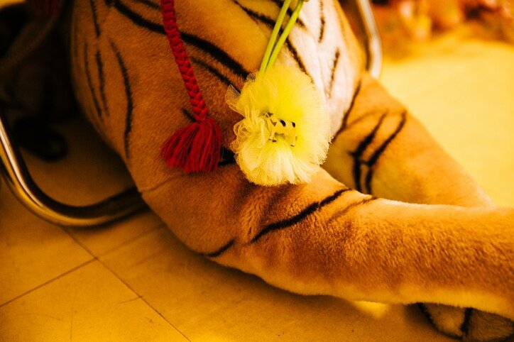 トラになって45年！キミは新宿の名物新聞配達人“新宿タイガー”を知っているか！？Love＆Peaceな直撃インタビュー