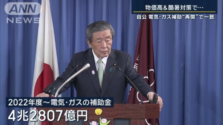 電気・ガス代の補助金