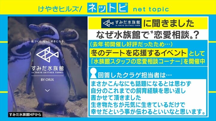 「ホストに1000万使っても好きになってもらえない」恋愛相談への水族館スタッフの回答が話題「返しが神」