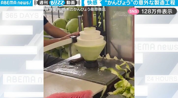 【写真・画像】「かんぴょう」の意外過ぎる製造工程を映した動画に驚愕の声！「元はこんな大きな木の実なんだ」　1枚目