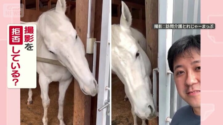 撮影拒否してる？