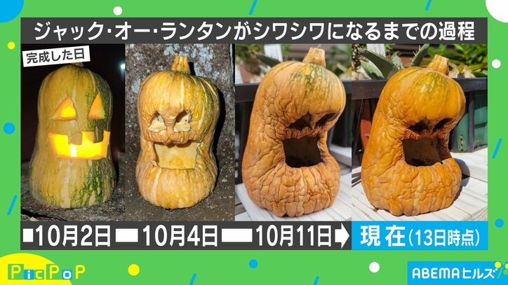“しわしわ”になったジャック・オー・ランタン!? 急速に衰えていく姿に投稿者「ハロウィンまで保ちそうにない」 