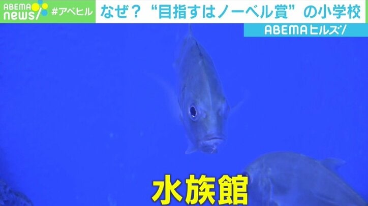 校舎に水族館? 「ノーベル賞」を目指す小学校の教育方針「人に尽くす力を備えた本当のリーダーになって」