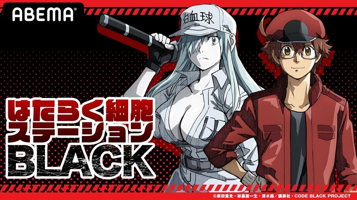 はたらく細胞 BLACK DVD全巻セット(1〜7巻)榎木淳弥　日笠陽子 はたらく細胞BLACK／DVD／全巻セット(初回限定・アニまるっ