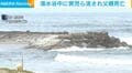 海水浴中に男児ら流され父親死亡