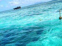 矢田亜希子『家族旅行』