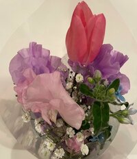 hitomi『最高のバースデー』