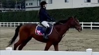 ダレノガレ明美 趣味の乗馬で大絶叫！ 