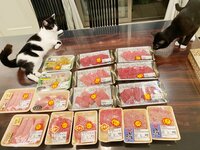 藤あや子『ありがとうタイムセール！』