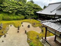 高橋真麻『鼻水』