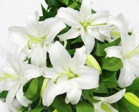 神田うの『昨夜は深い悲しみと憤りを感じながら一晩を過ごしました。』