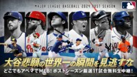 MLBポストシーズン2024 - ディビジョンシリーズ (スポーツ) |