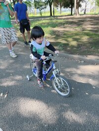アレクサンダー『カゲトラ自転車練習中』