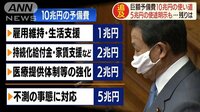 「GoTo」でなく「強盗だ」前例なき巨額予備費を追及
