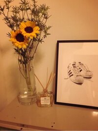 藤本美貴『こんにちは！』