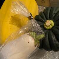 かとうかず子『帰宅しました』