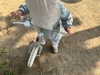 紺野あさ美『家づくりの体験談』